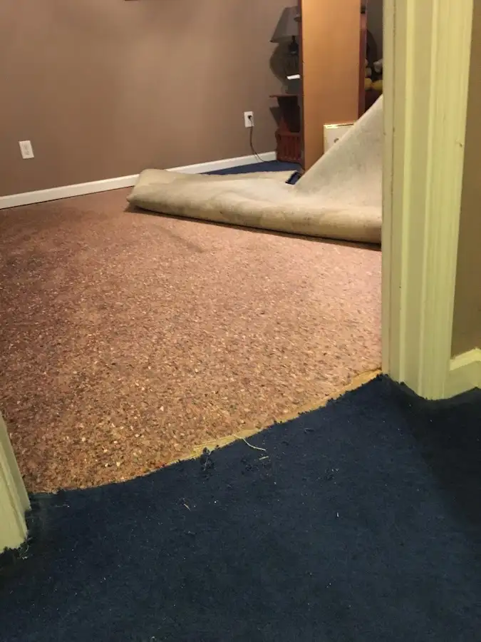 Carpet pad removal revealing water damage during Drying & Dehumidification in Desert Palms