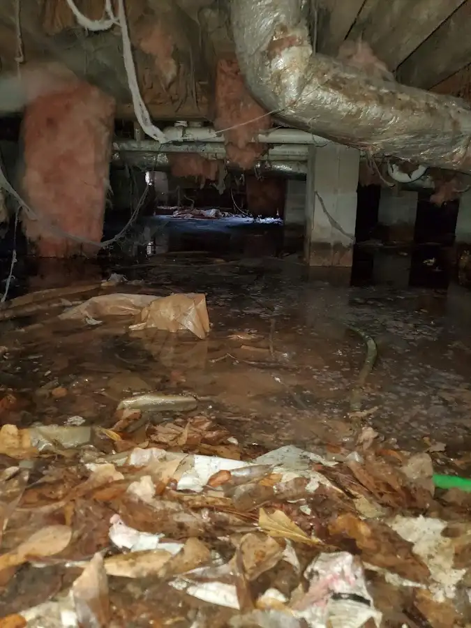 Crawl space flood assessment for Commercial Water Damage Restoration in Desert Palms